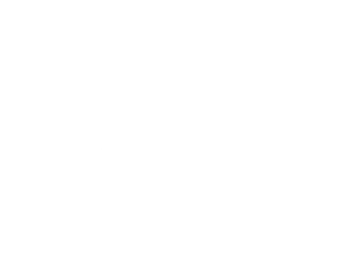 simple plan ltd logo